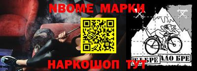 индика Будённовск