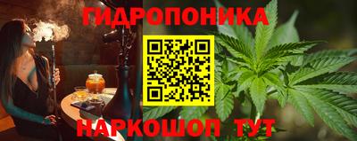 индика Будённовск