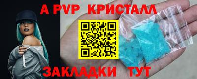 индика Будённовск